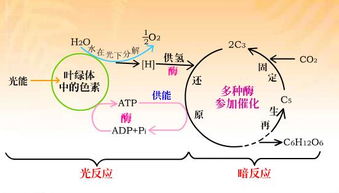一、  风水学体系中水口的理论渊源与架构