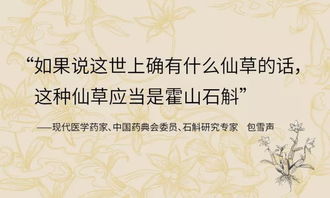 情系桑梓：返藏之路上的砥砺前行