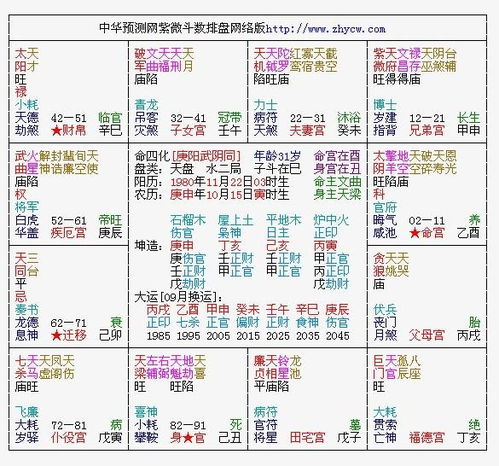 外貌特征之学术描写