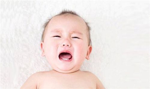 六、 心理状态学视角及神经科学研究解读