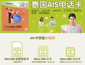 热到灵魂出窍的生存指南