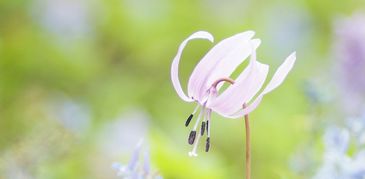 一、 探究背景与对象概述