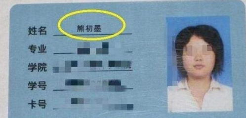 一、  谐音陷阱与社会认知的心理暗示