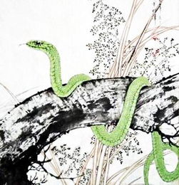 2026年属龙和属蛇财运如何，运势怎样？