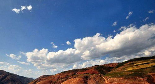 第三关:吃在大理如何避开雷区吃到扶墙出?