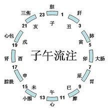 一、《探祕時節》——脸型与诞生時間之间隐蔽联结研究论述