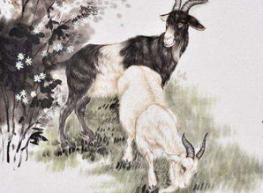 属羊男人2026年财运如何？财运解析具体是什么？