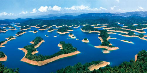 三、吃喝攻略——胃口大开+肠胃危机双重奏