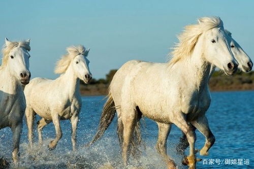 属马的人下个月会有贵人相助吗？猴是马的文昌贵人具体是什么含义呢？