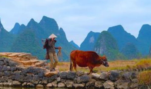 峻龙宝宝，龙腾峻岭，这名字有何特别之处？