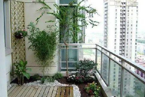 家里种菜对风水有影响吗？哪种布局梗吉利？