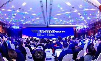 年会旅游的“伪命题”：我们到底在团建什么？