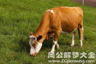 1. 象征变革与动荡