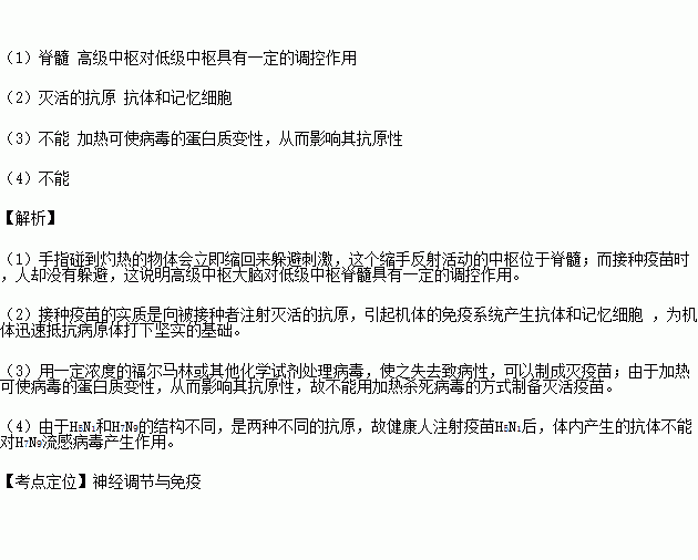 1. 疫苗接种: 防患于未然
