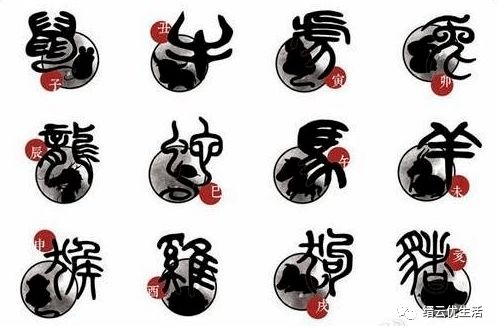 2026年属哪个生肖的人会得贵人相助？哪几个生肖在2026年运势最佳？