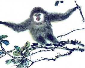 1992年属猴的人婚姻状况如何，他们的婚姻大事有哪些特点？