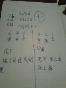 一、 探究背景与目的