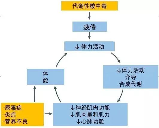 1. 作用于因素更多元化