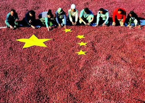 旅行警告？我看是旅行社的阴谋！