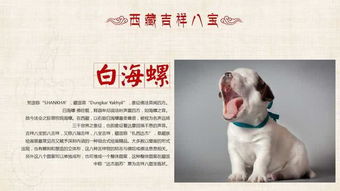 2026年属狗人9月结婚黄道吉日有哪些？哪天最适合属狗人结婚？