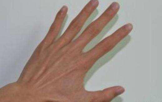 一、 手相学视角下慷慨大方之特征辨析