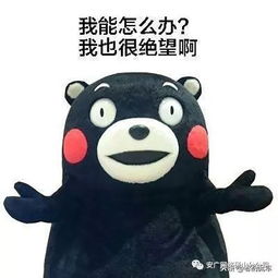 转变的发生