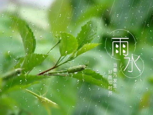 一、 春雨的自然意象及其文学再现