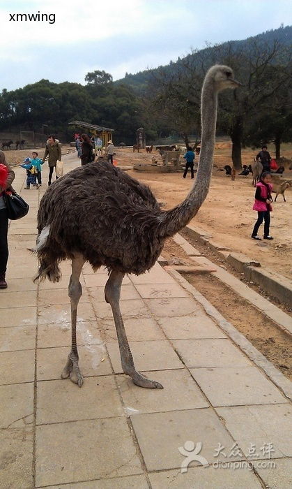 自控飞机——飞向…未知
