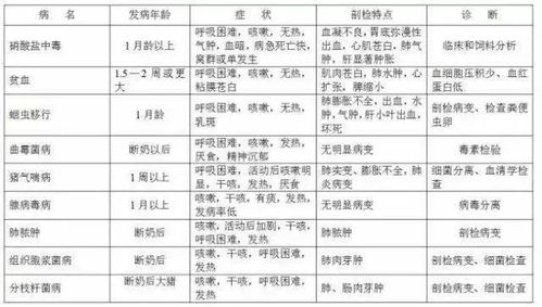 2026年男称骨算命表如何查询？