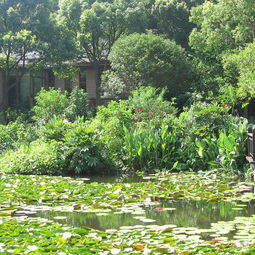 厦门桃花岛旅游攻略推荐