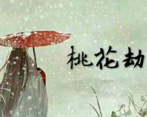 第一节：桃花劫的本质属性与现象特征