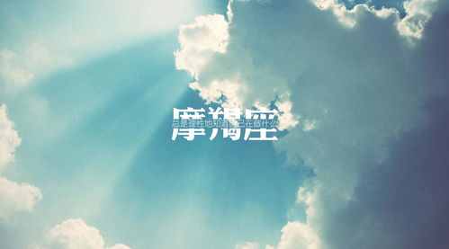 四、 综合评析：沉重情义星座对信赖构建的意义