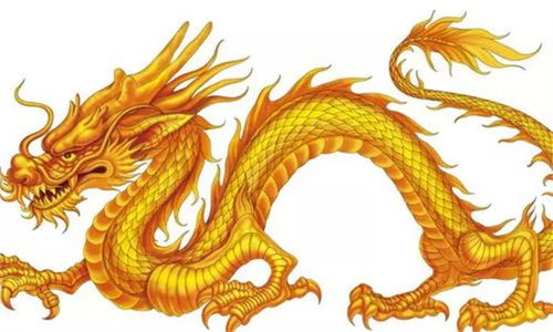 惯与“龙”和“凤”那些事儿