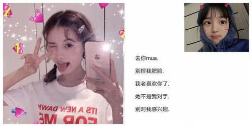 探寻网名的魅力：清新仙女与呆萌少女的较量