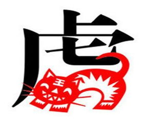 # 生肖兔 + 星座处女座 = “温柔完美双倍速”