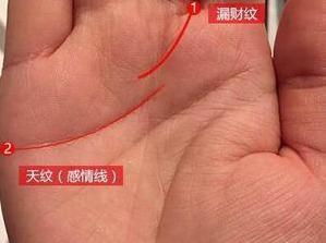 二、 钱财纹的层次化解读