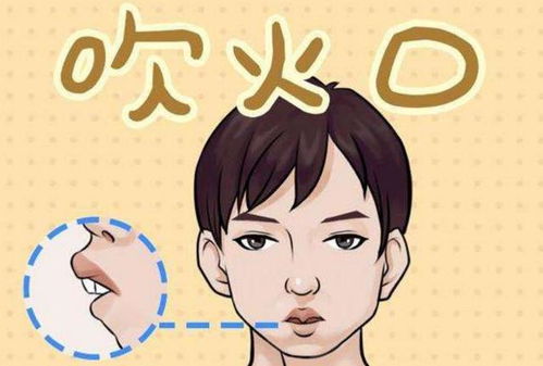 2.2 生肖冲煞与个人八字的协同考量