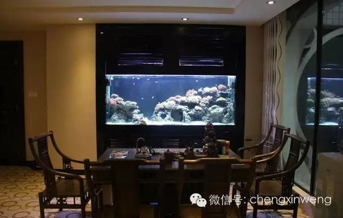 2. 鱼缸安置于财位之风险