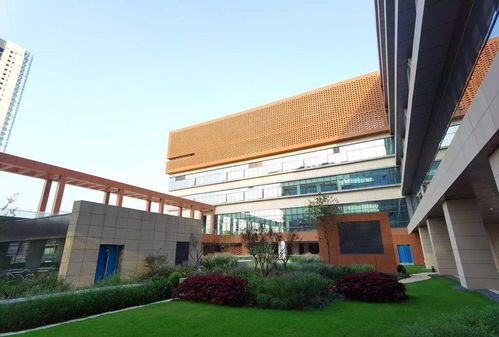 西园旧改备受关注的原因