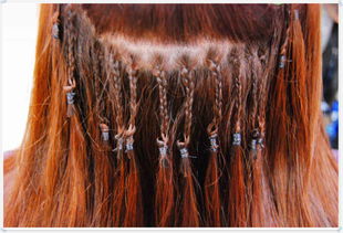 梦见接头发后面又掉了这是不是意味着什么？