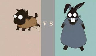 鼠后灵牛打一生肖，牛配鼠是什么生肖组合？