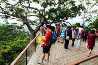 错峰游玩的实战技巧