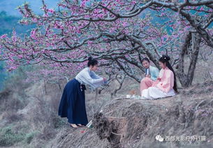 康毅新的狗血人生