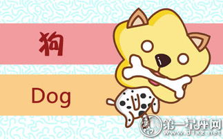 属狗今日哪个时辰运势最好？吉凶指数如何？三大运势指数分别是多少？