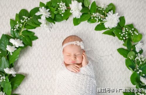 鼠年宝宝：别再叫瑞宝了！（真的！）