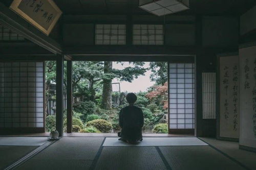 未完成真实相揭示与悲剧发觉