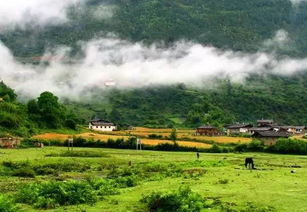 住哪里？别抱太高期望就不会失望