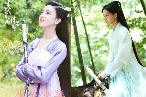 三、  典型案例的深度解析：以“墨染雨君花兮”与“笙歌叹离愁”为例