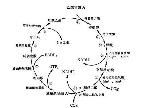 三、“茶”作为调和内外之媒介