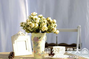 塑料花假花梦境大揭秘！看完惊掉下巴